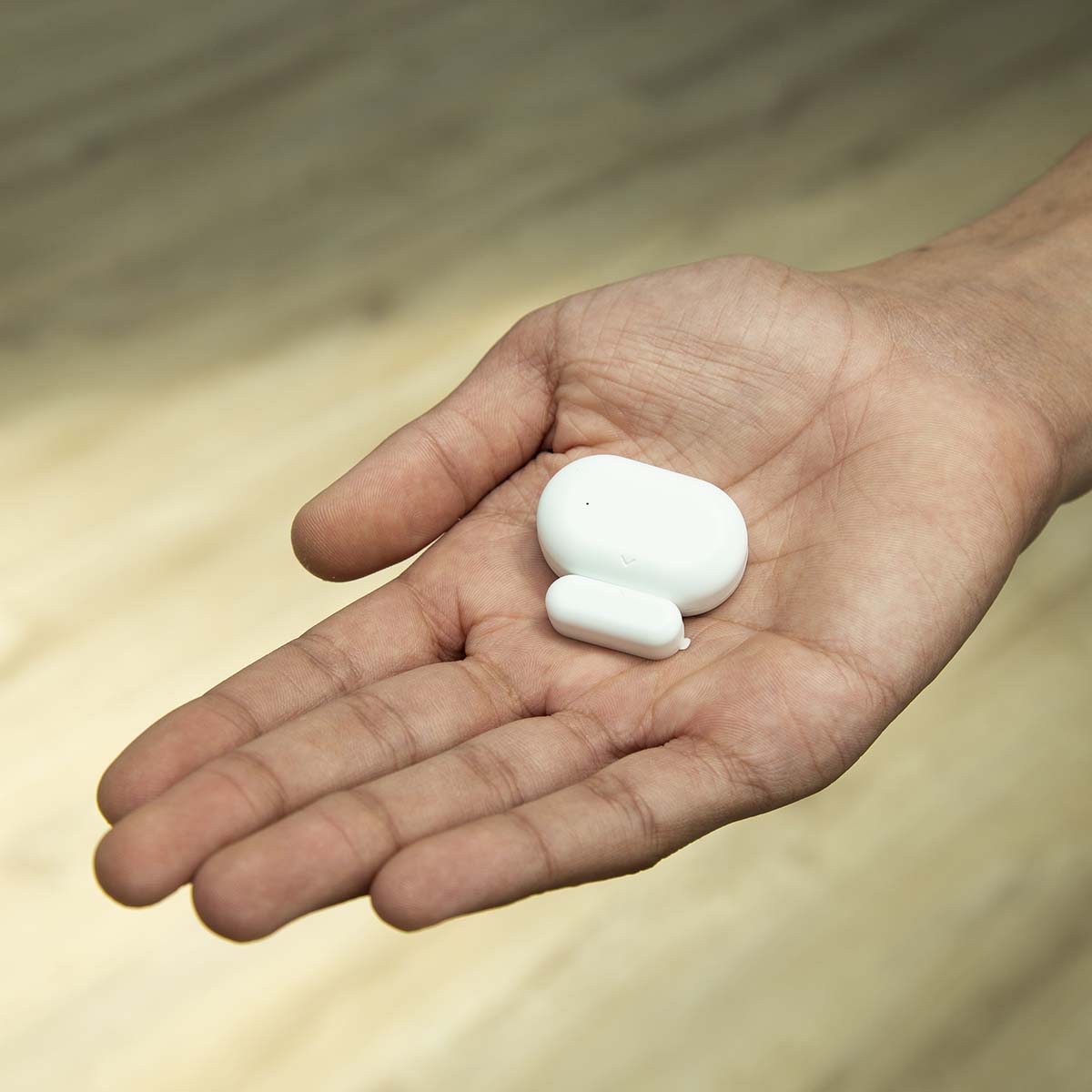 1437373|SMART-DOOR10