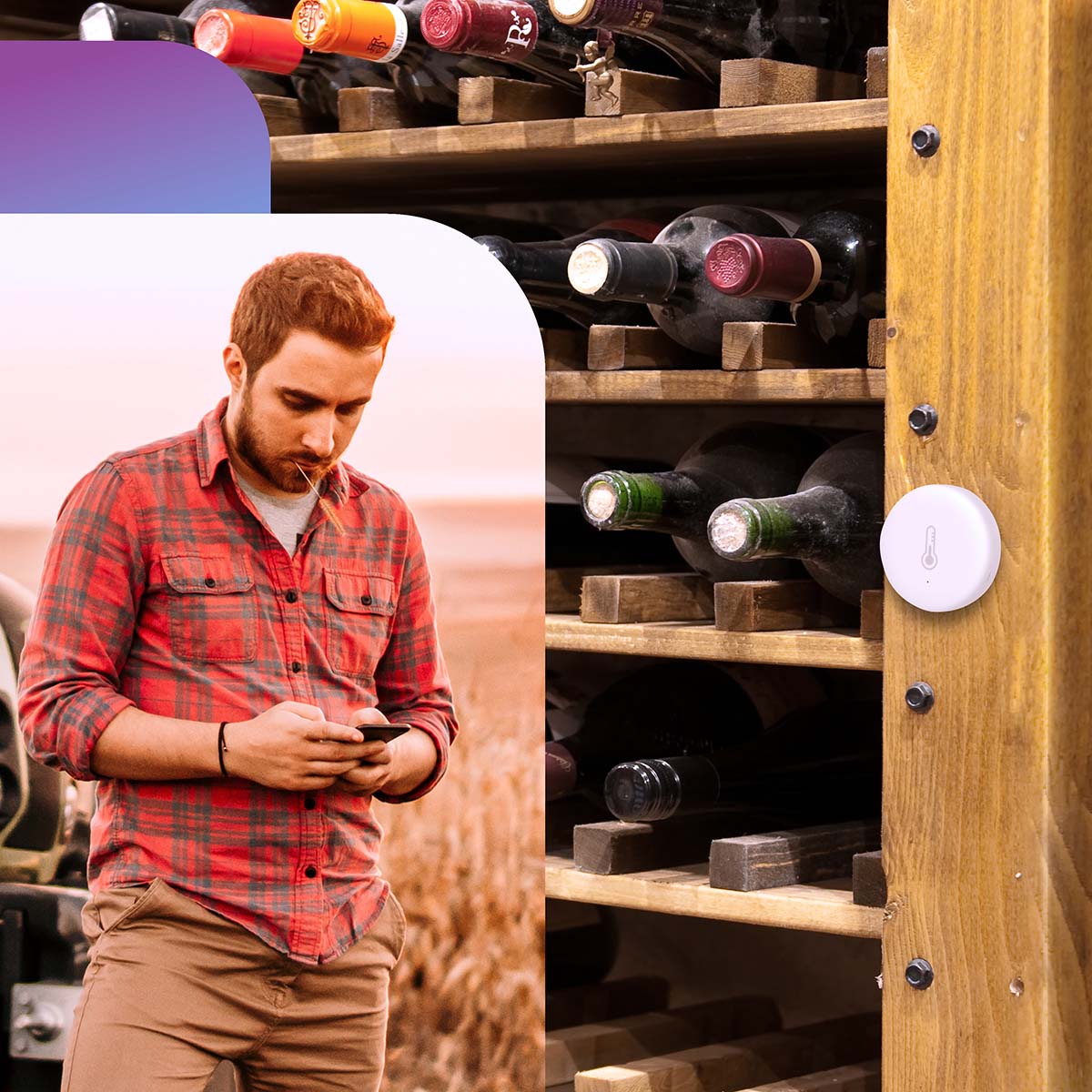 1437438|SMART-TEMP10