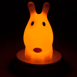 1437269|INNOCENT DOG