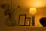1461289|SMARTLIGHT120