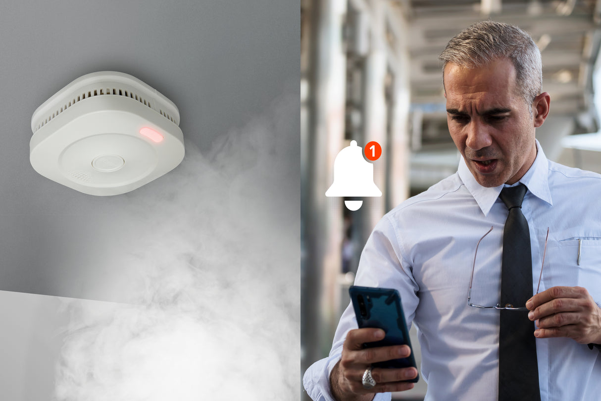 1462469|SMARTSMOKE11 4