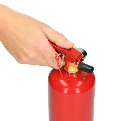 Alecto BP-1 - Fire extinguisher powder 1 kilogram